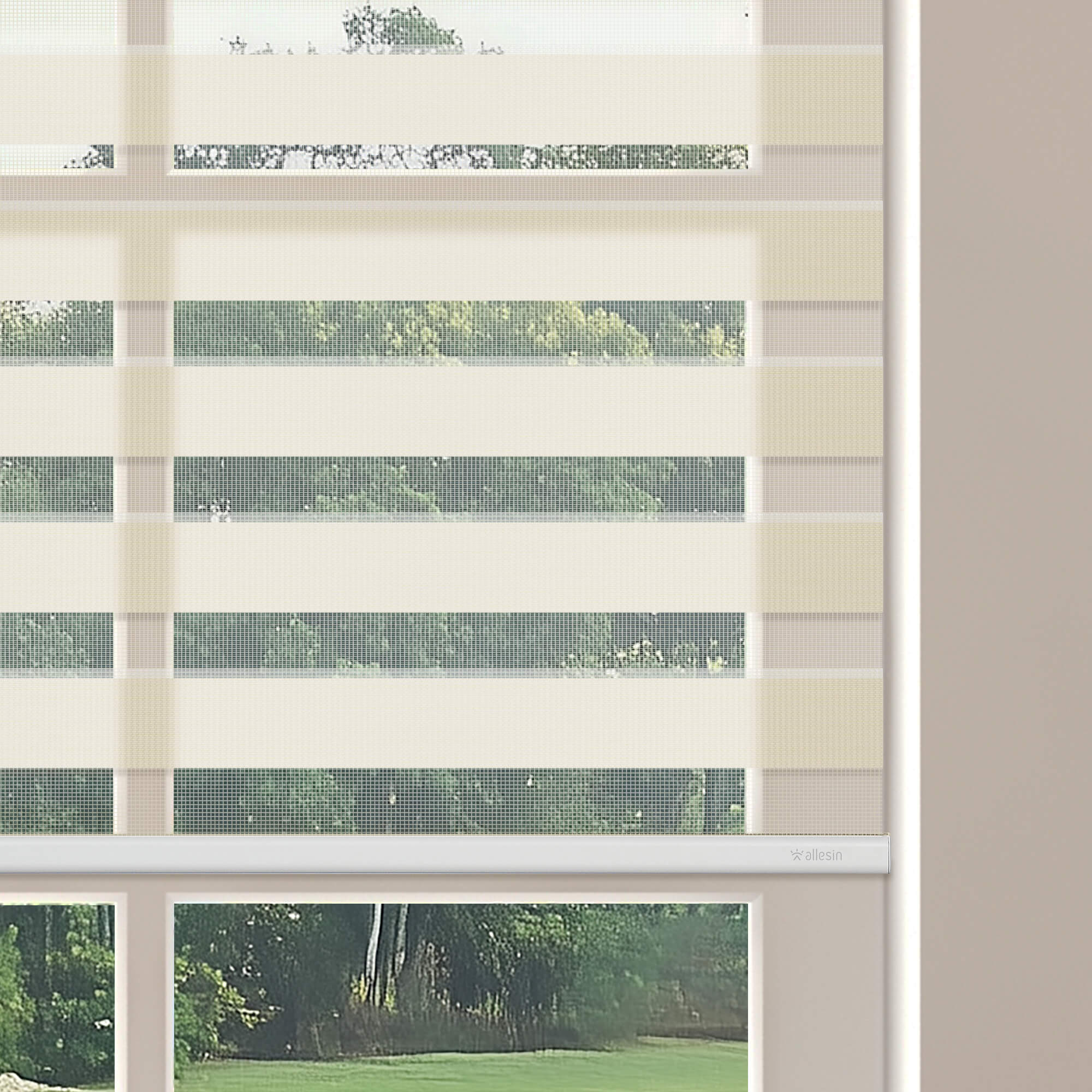 Allesin Motorized Zebra Shades