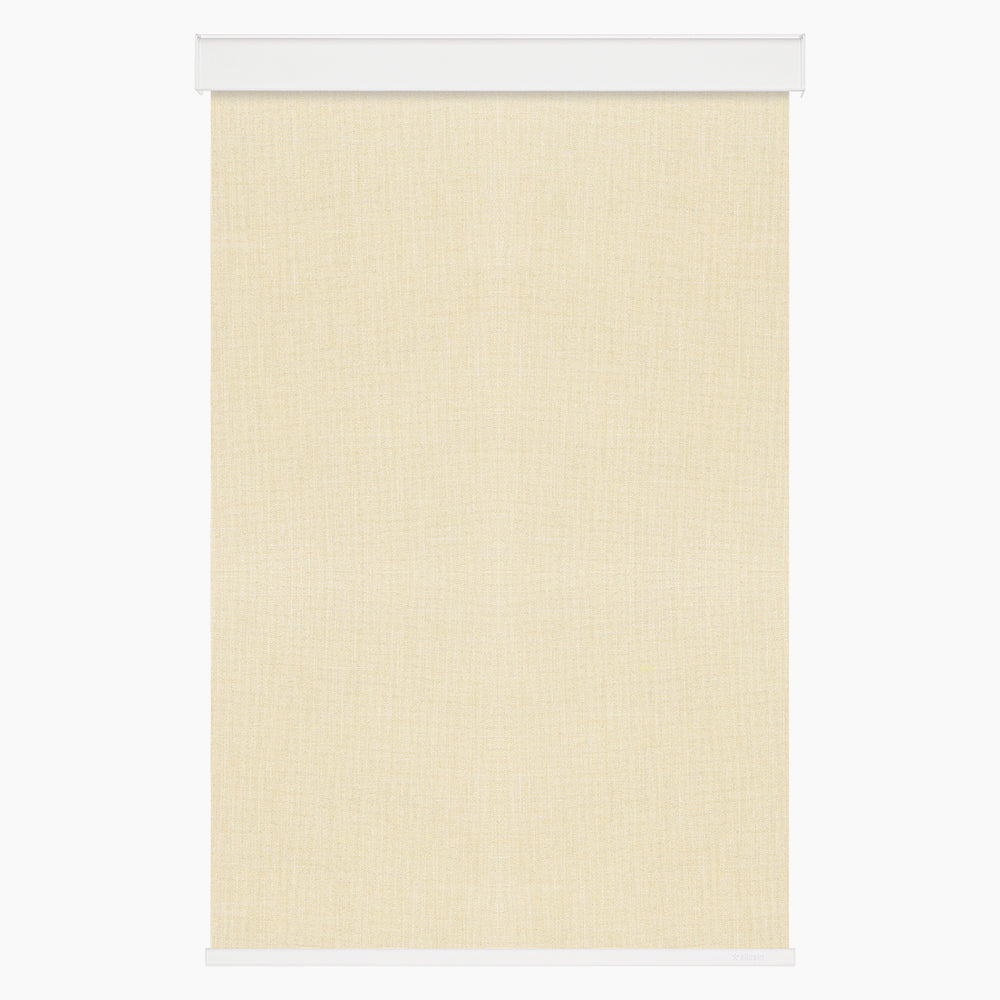 Allesin Select Motorized Blackout Roller Shades
