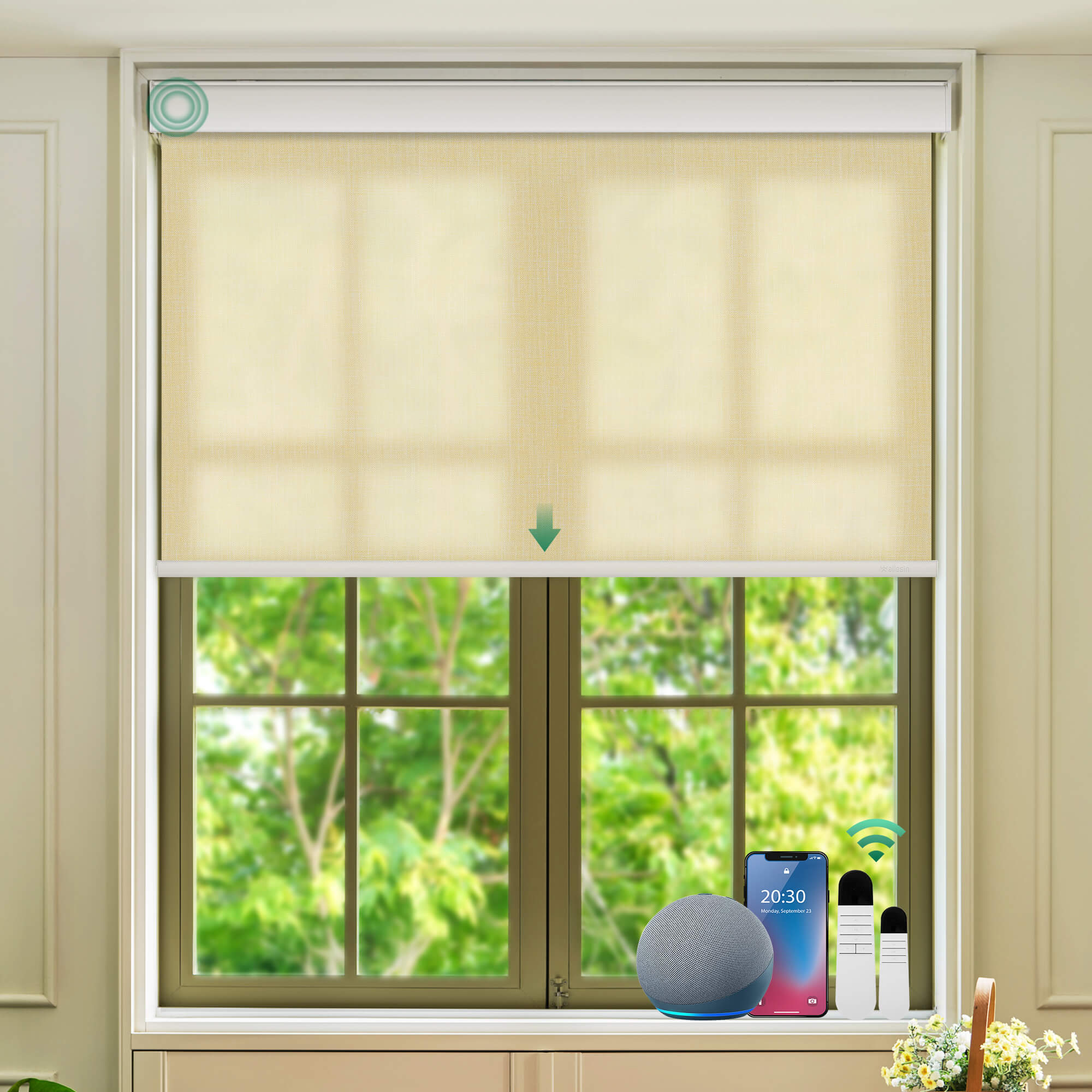 Allesin Select Motorized Light Filtering Roller Shades