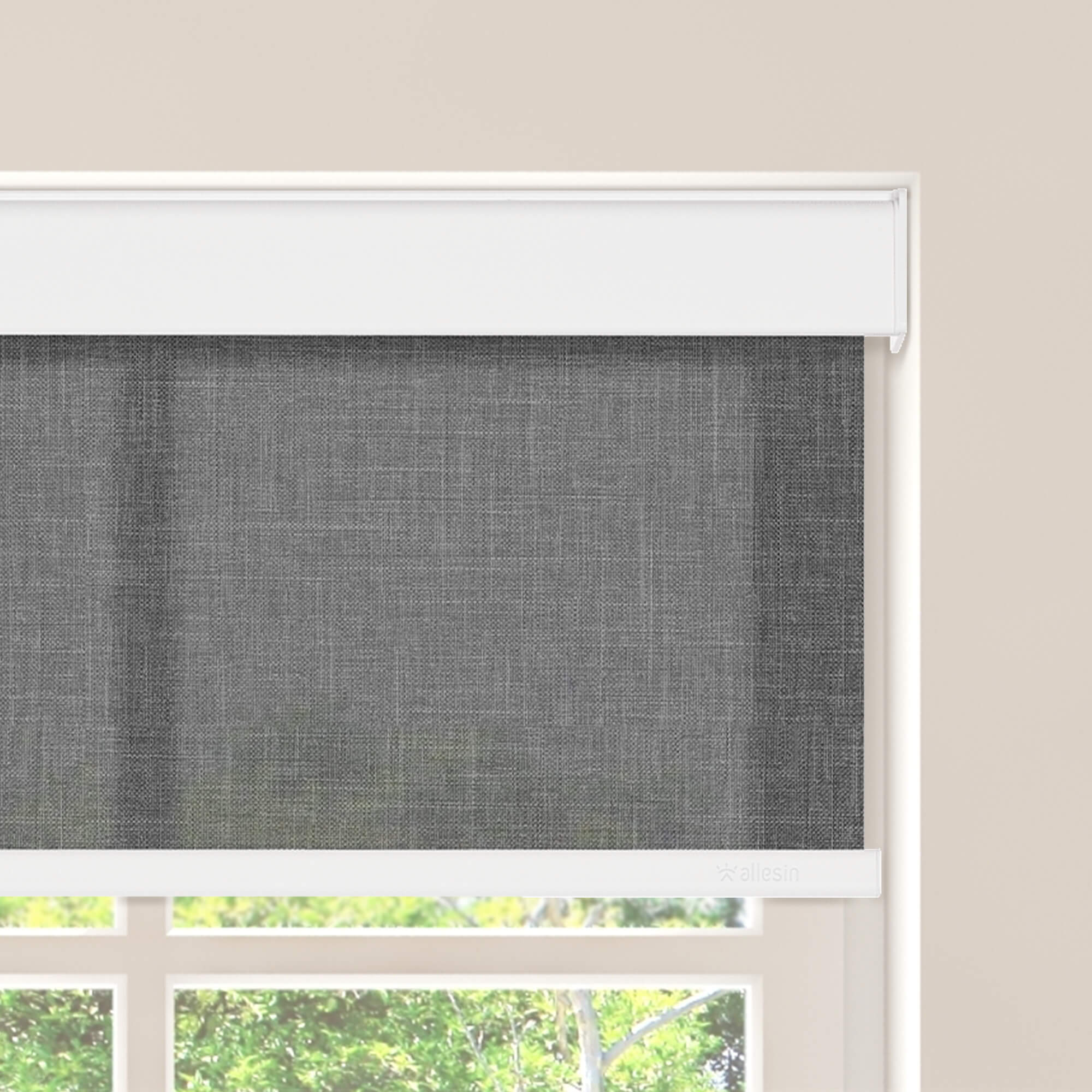 Allesin Motorized Light Filtering Roller Shades