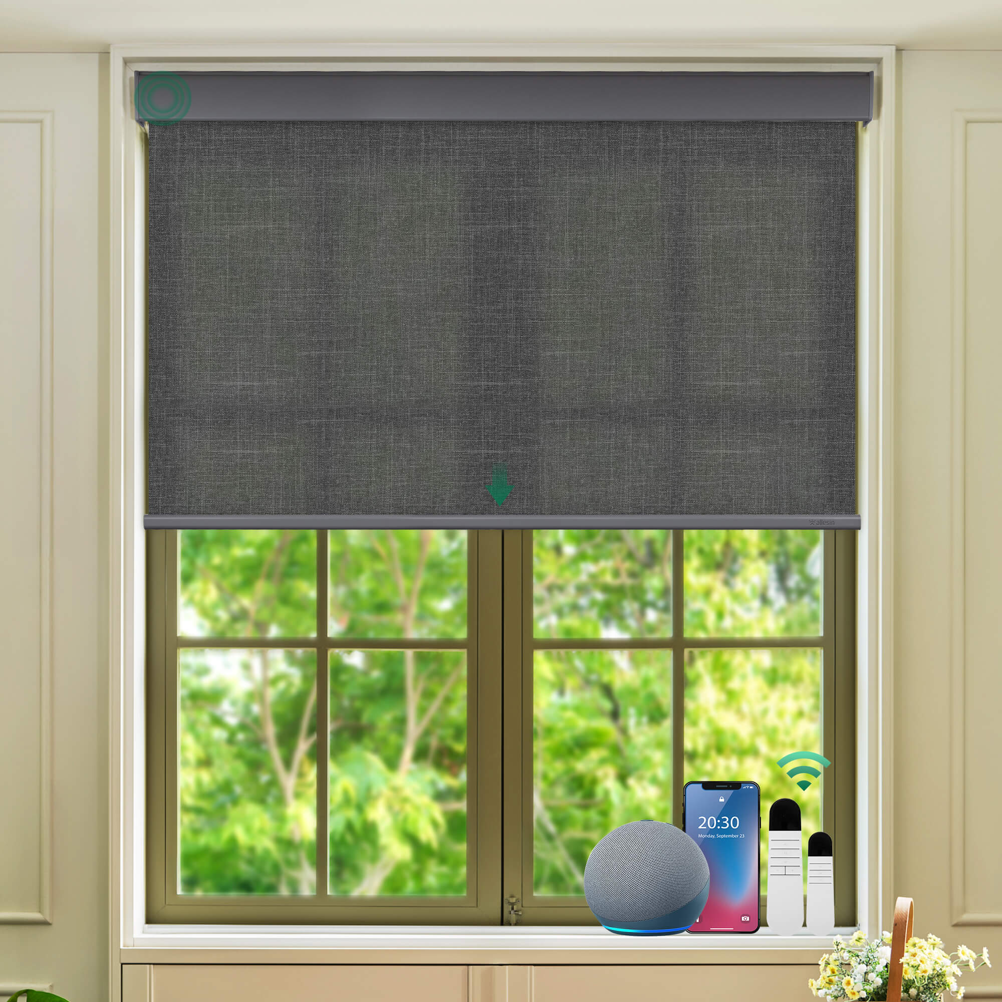 Allesin Select Motorized Light Filtering Roller Shades