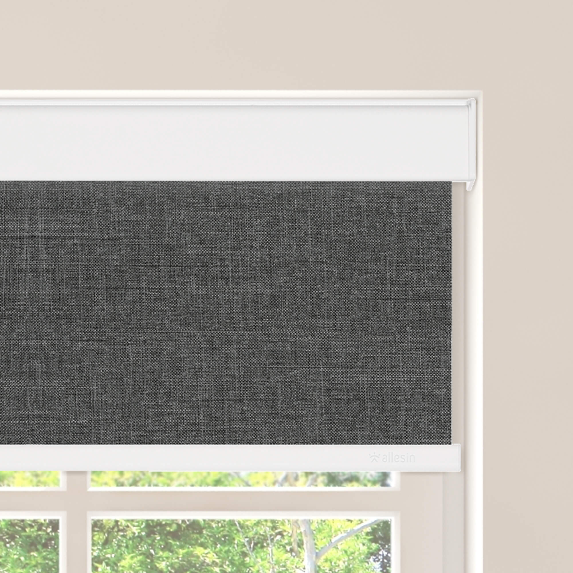 Allesin Motorized Blackout Roller Shades