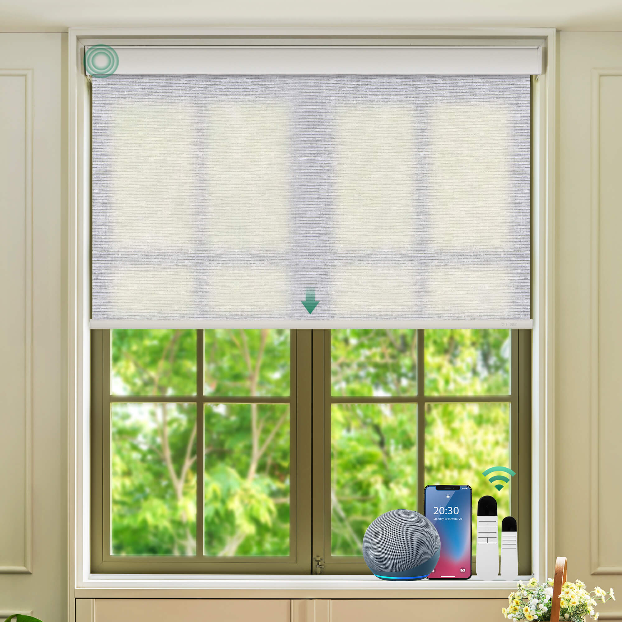 Allesin Select Motorized Light Filtering Roller Shades