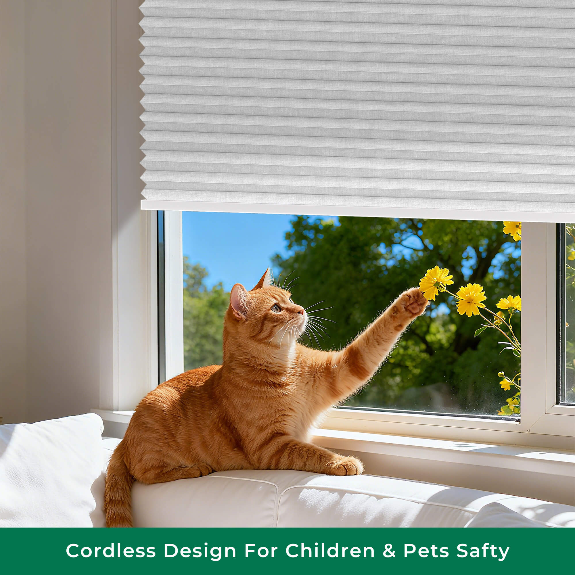 Allesin No-Drill Motorized Blackout Honeycomb Shades | Standard Sizes