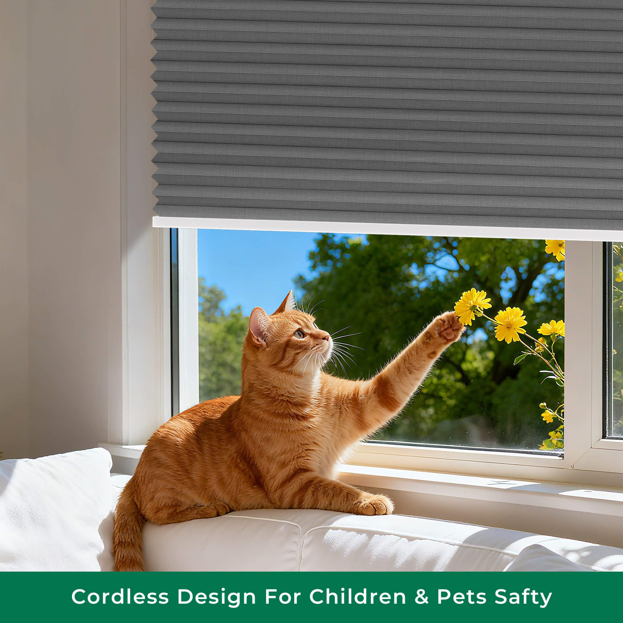 Allesin No-Drill Motorized Blackout Honeycomb Shades | Standard Sizes