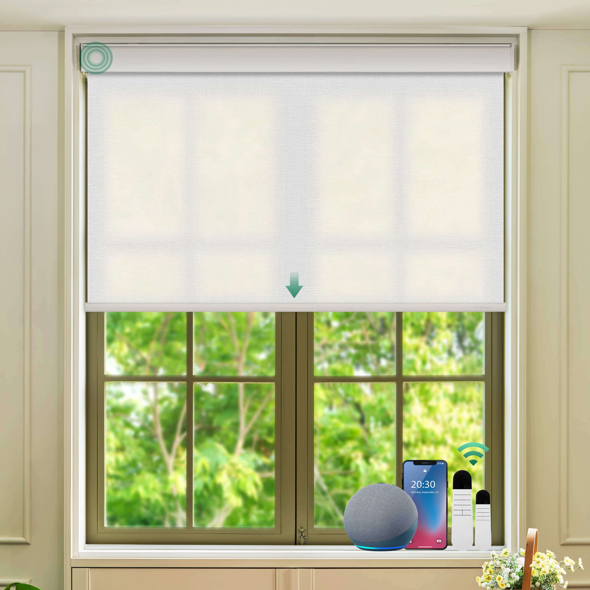 Allesin Select Motorized Light Filtering Roller Shades