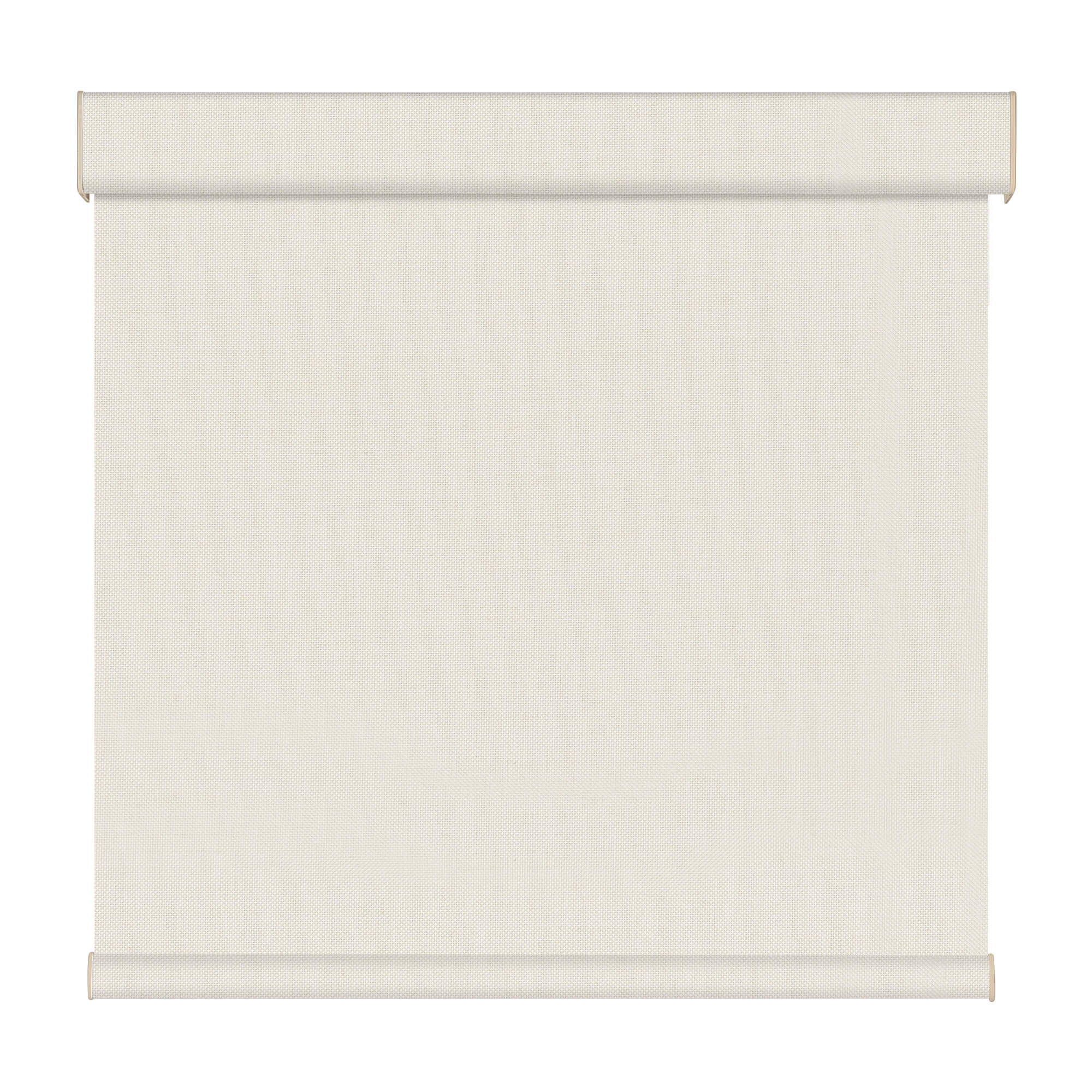 Allesin Dual-Control Blackout Roller Shades | Remote & Manual