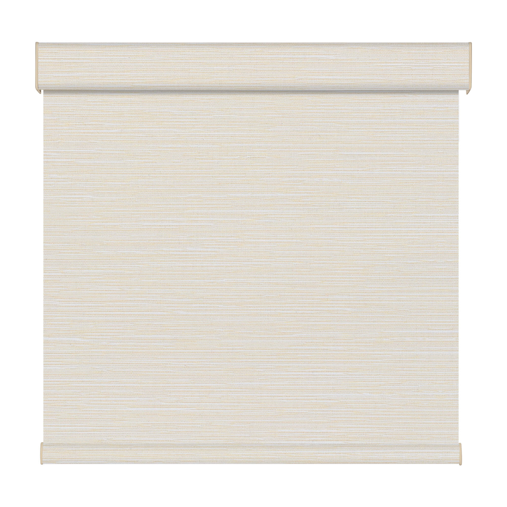 Allesin Dual-Control Blackout Roller Shades | Remote & Manual