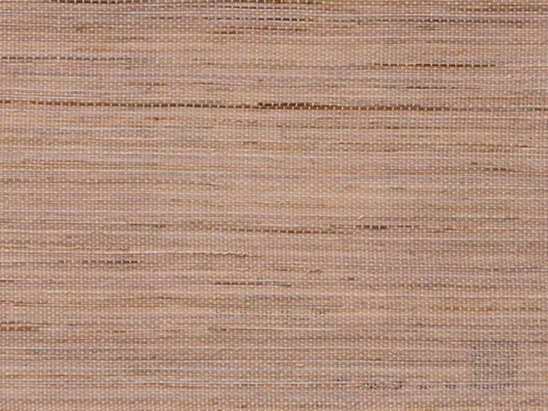 Fawn