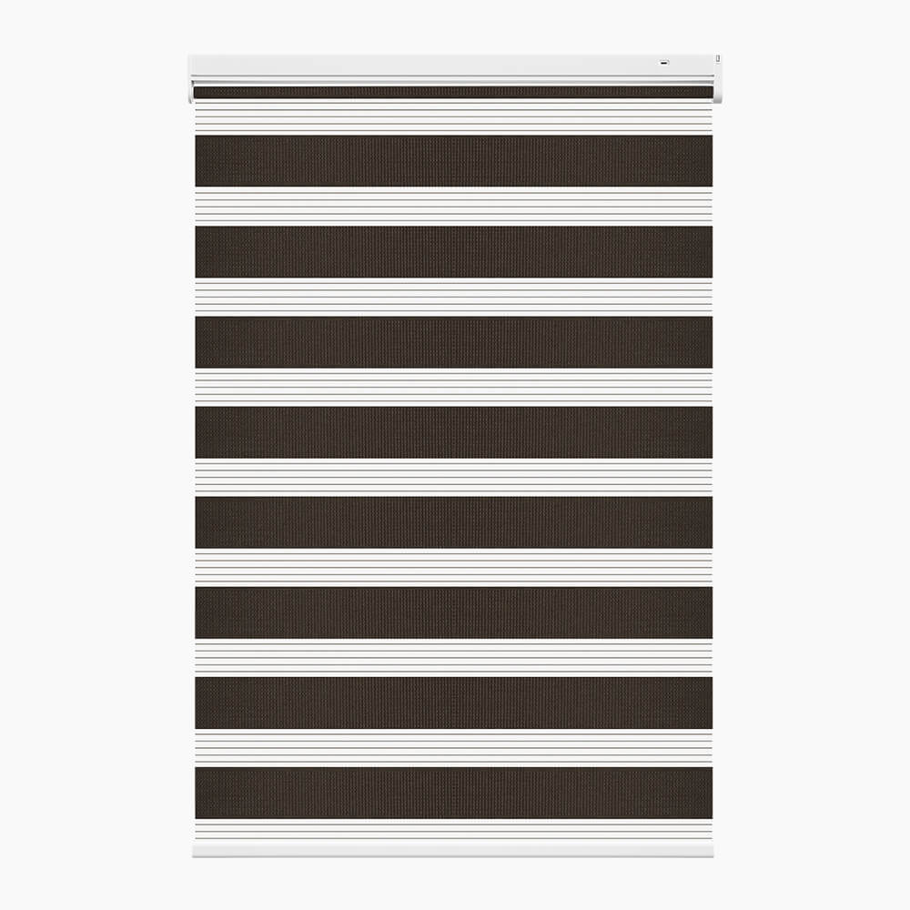 Allesin No-Drill Motorized Zebra Shades