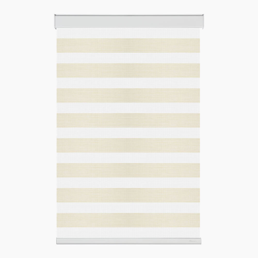 Allesin Motorized Zebra Shades