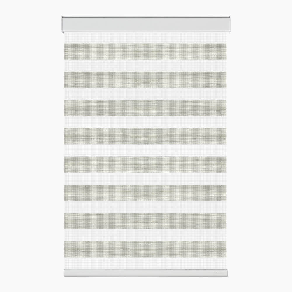 Allesin Motorized Zebra Shades