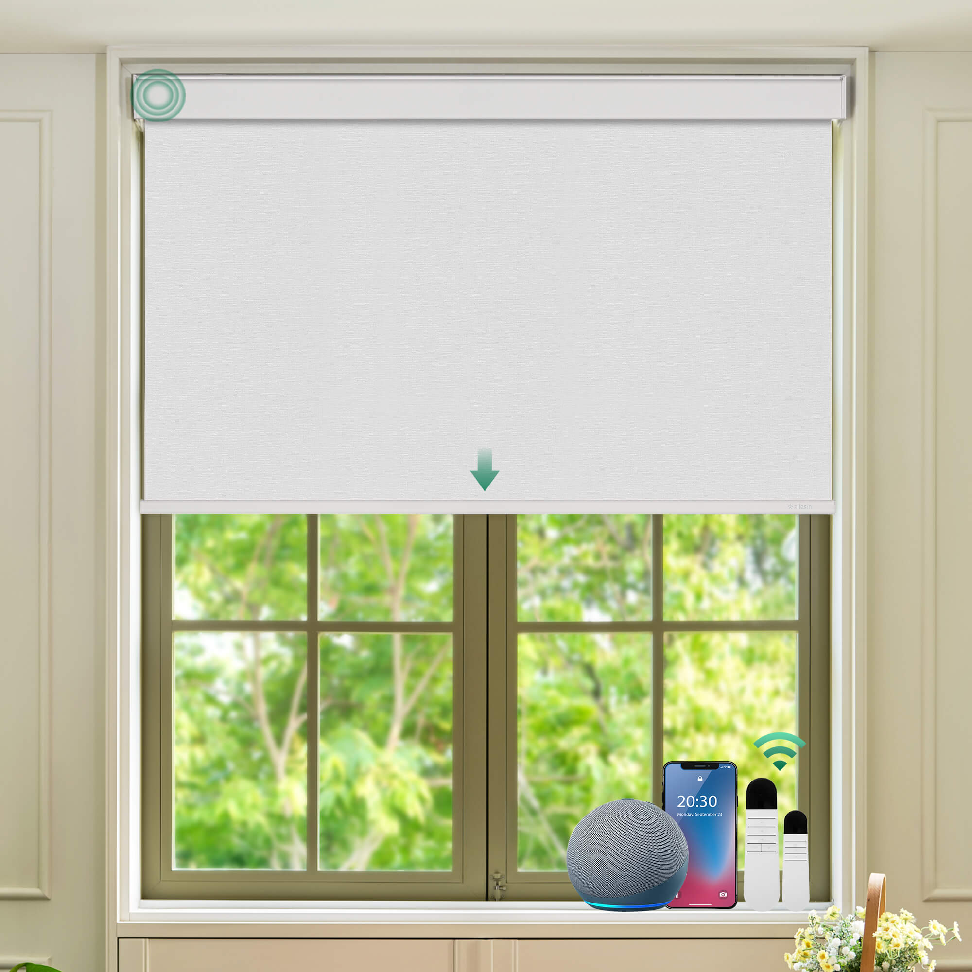 Allesin Select Motorized Blackout Roller Shades