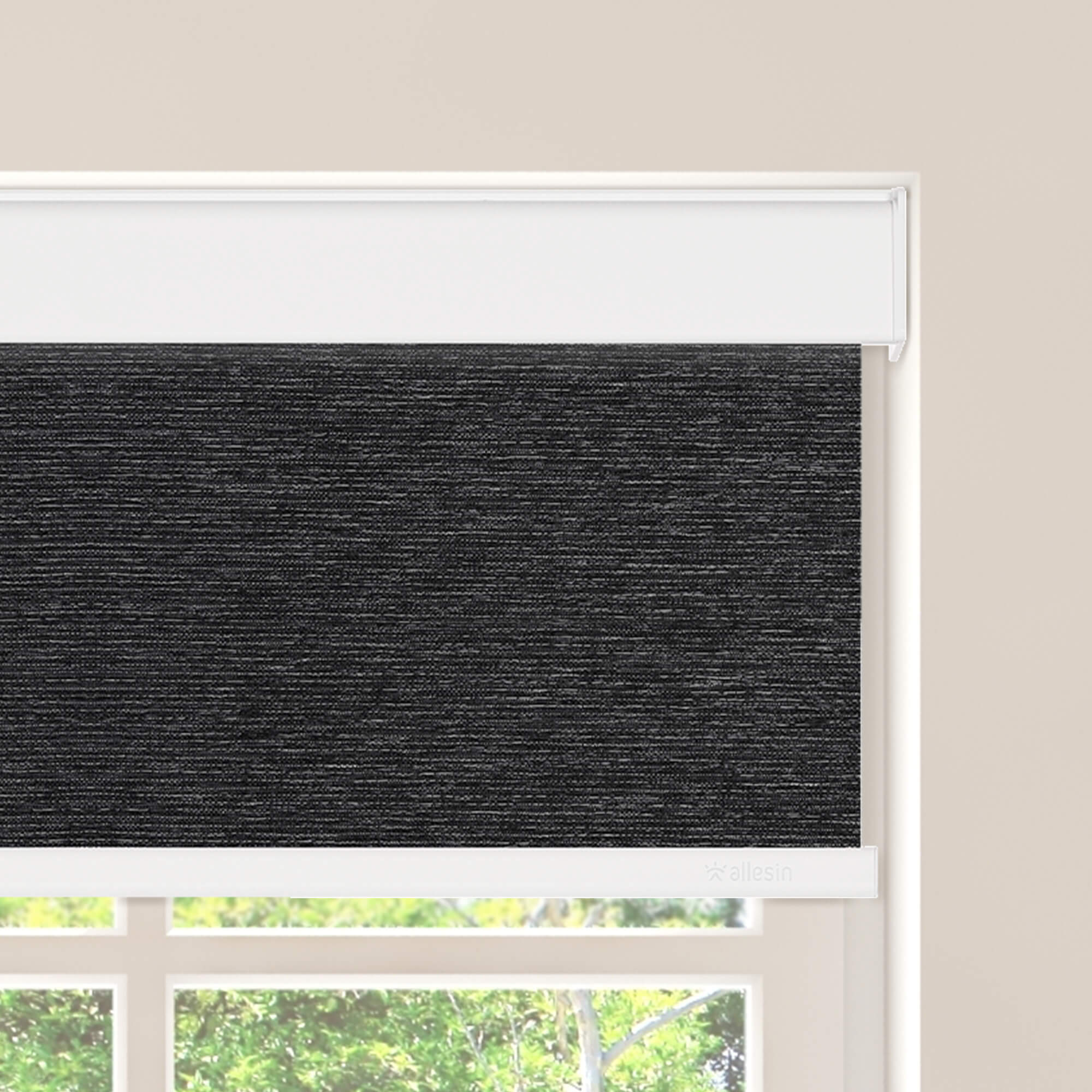 Allesin Motorized Blackout Roller Shades