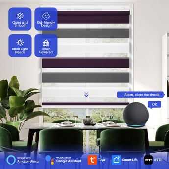 dual motorization shades that you can control with your voice