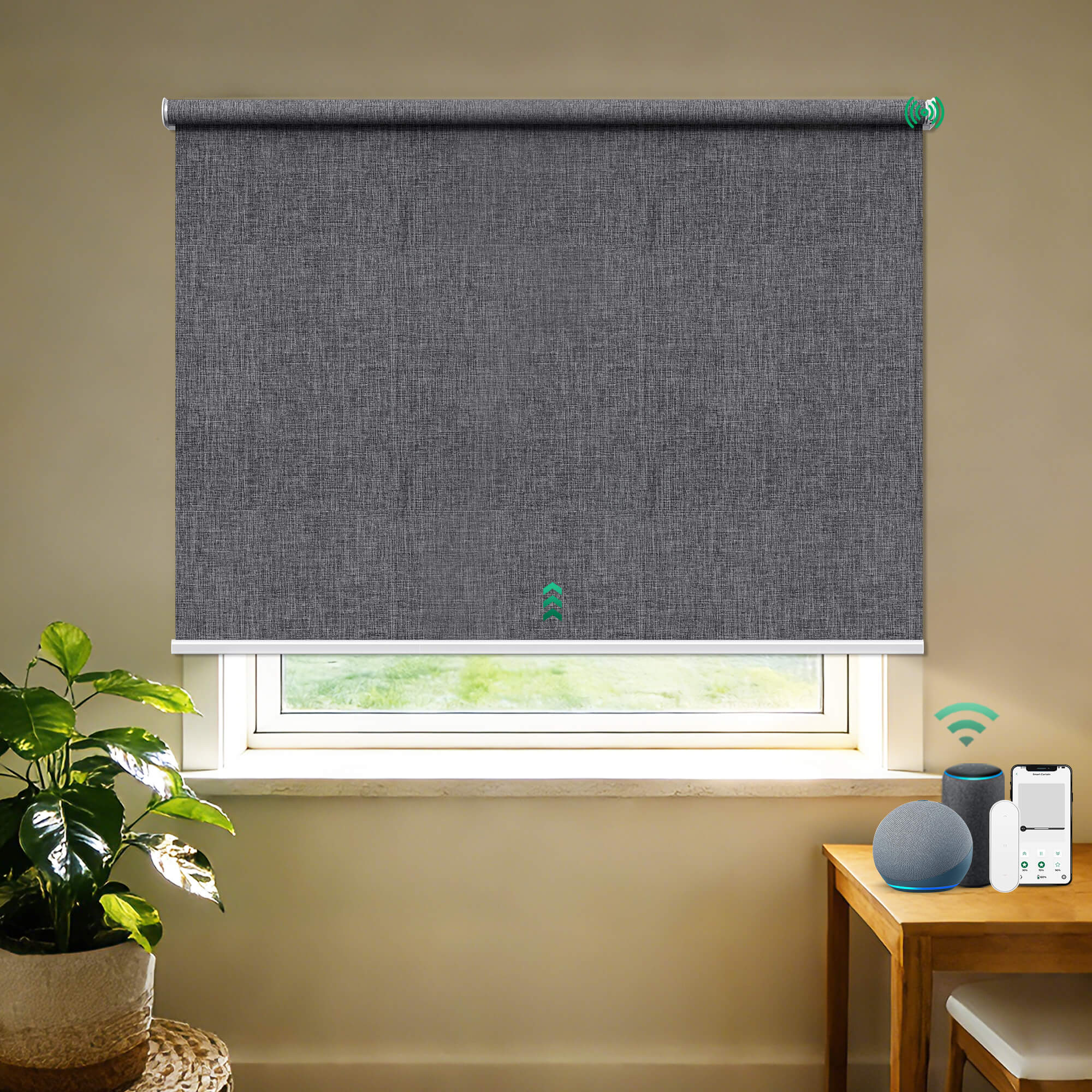 Allesin Outside Mount No-Drill Motorized Roller Shades (Pre-Order)