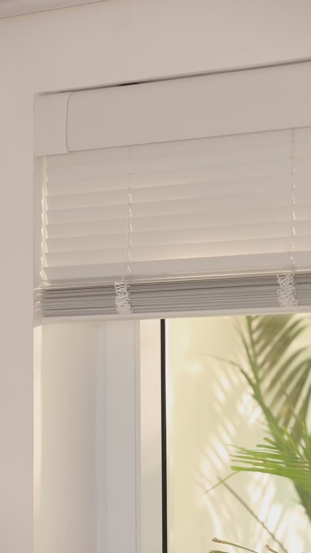 Load video: Allesin Motorized Venetian Blinds | Stylish Series