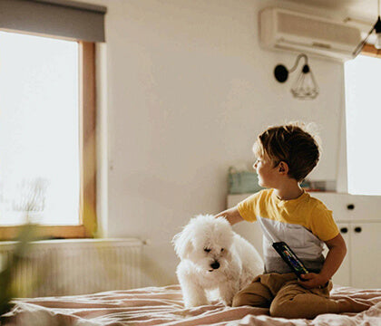 Kid and pet friendly motorized roller shades