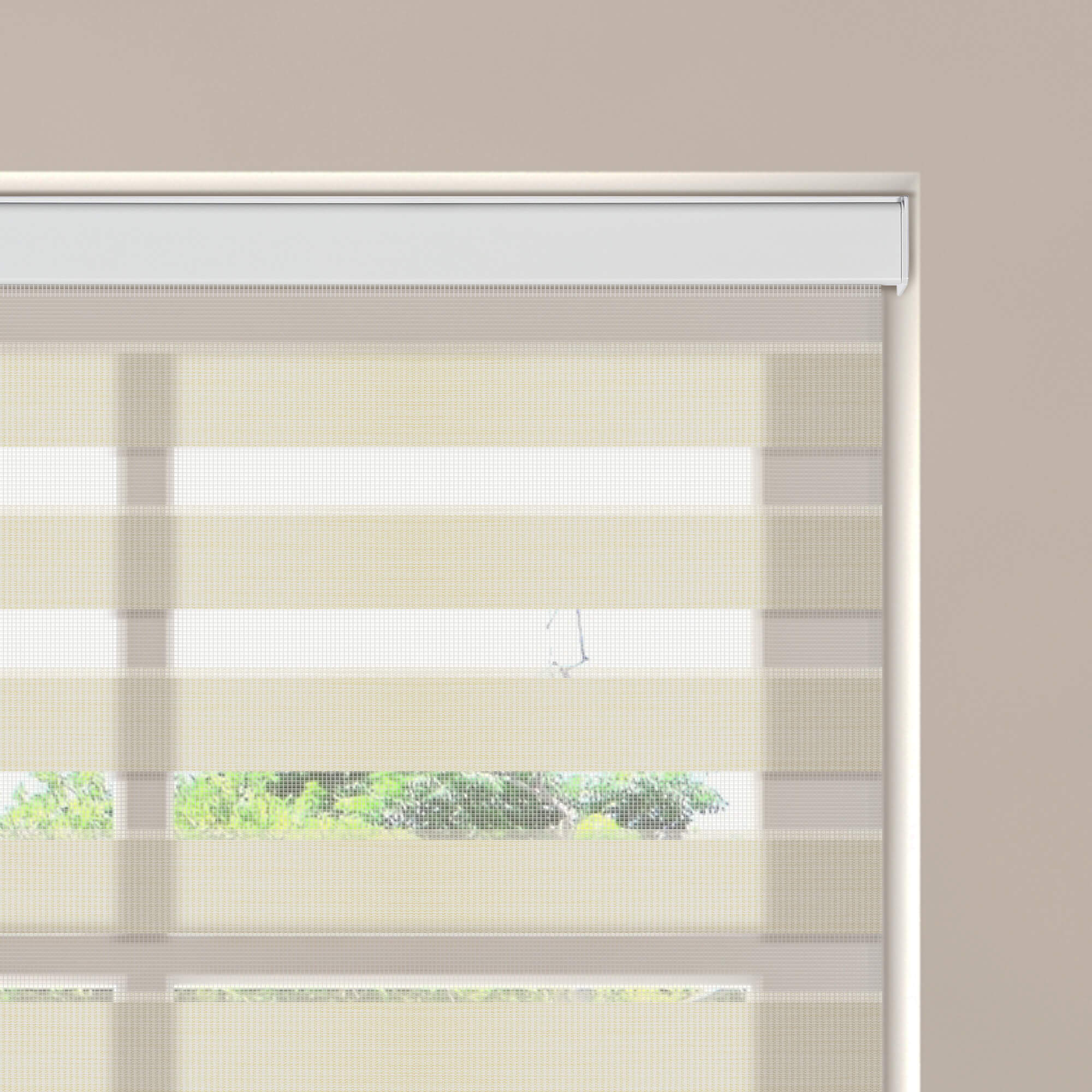 Allesin Motorized Zebra Shades