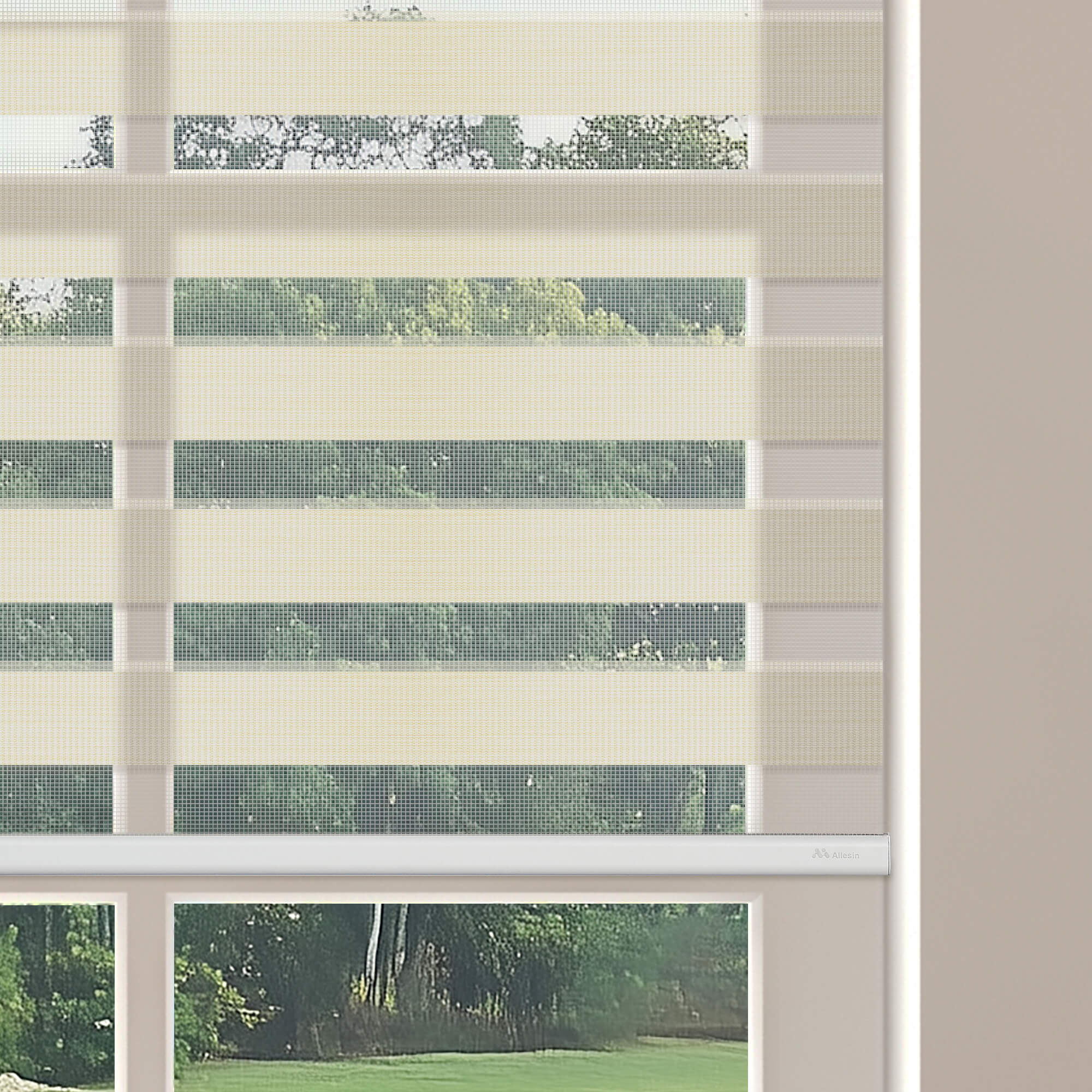 Allesin Motorized Zebra Shades