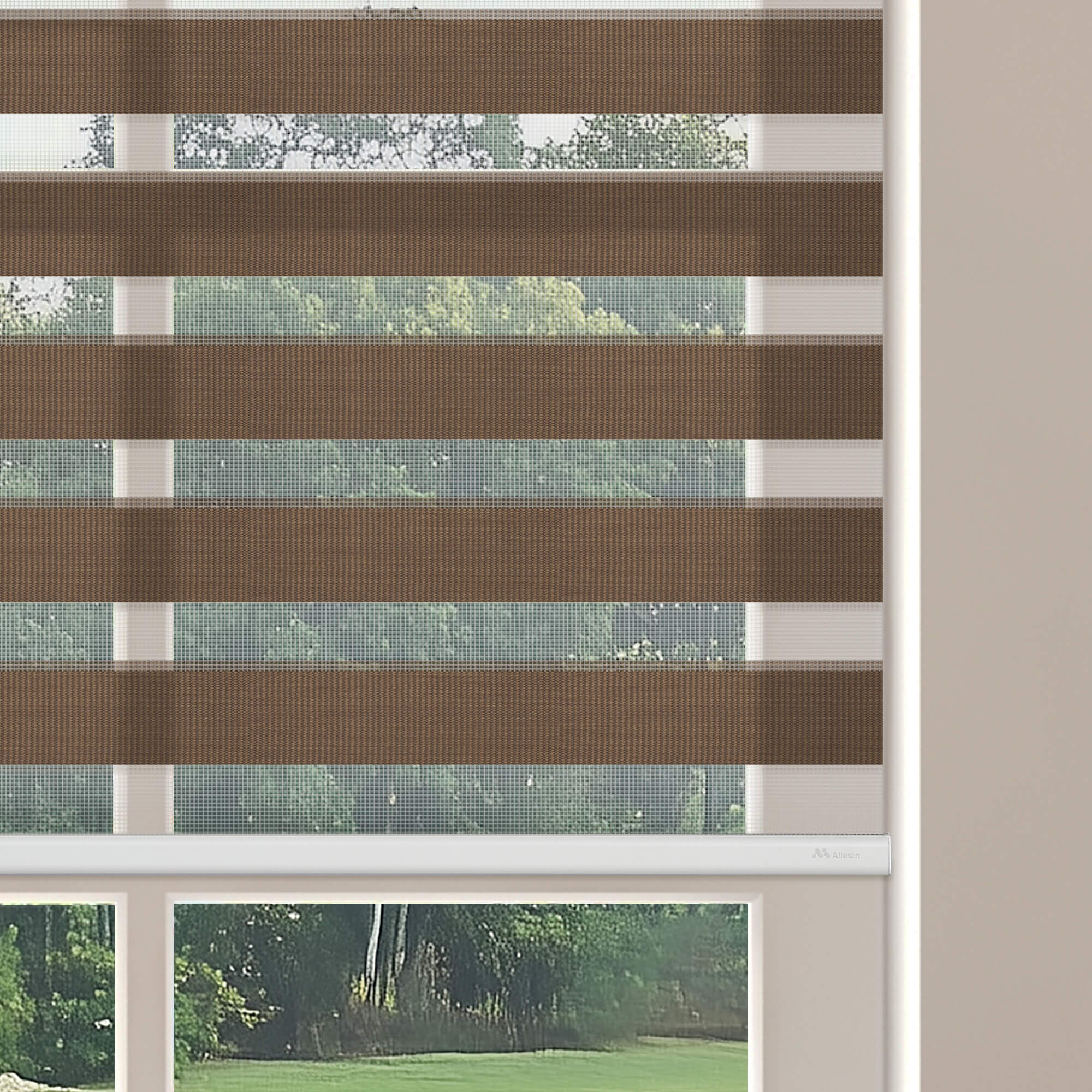 Allesin Motorized Zebra Shades