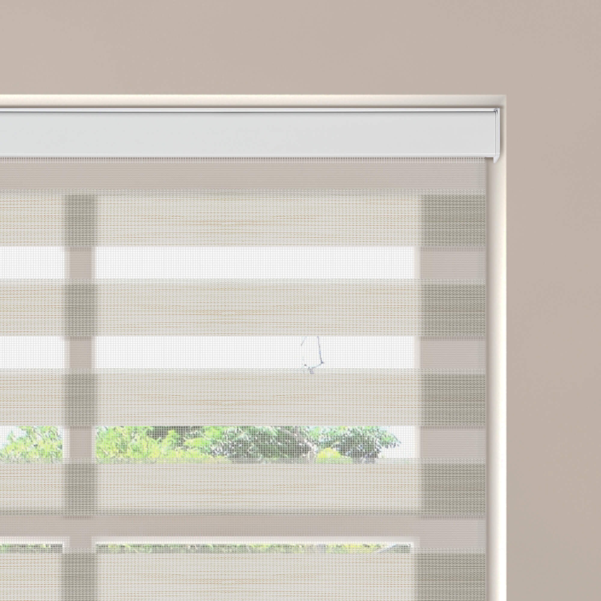 Allesin Motorized Zebra Shades