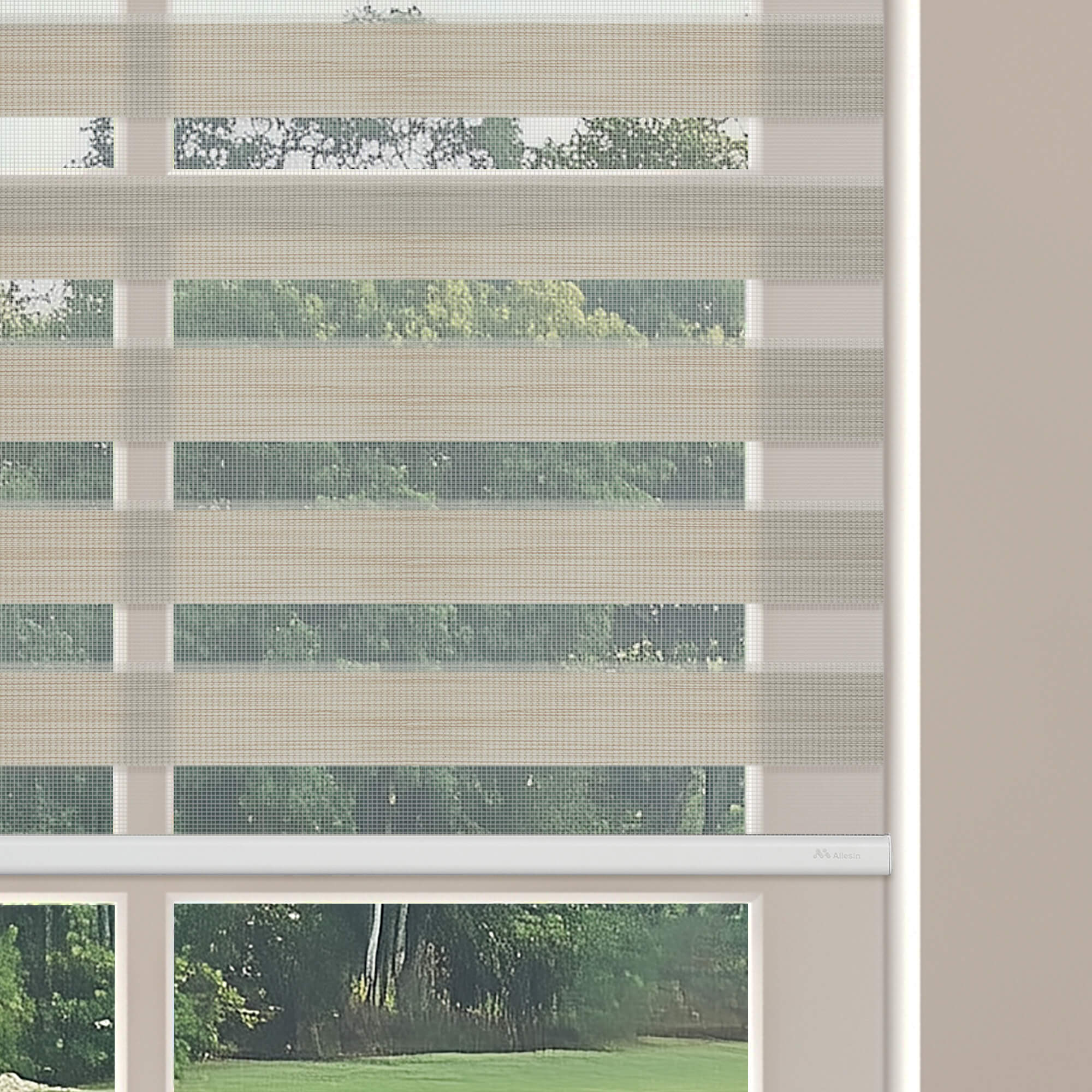 Allesin Motorized Zebra Shades