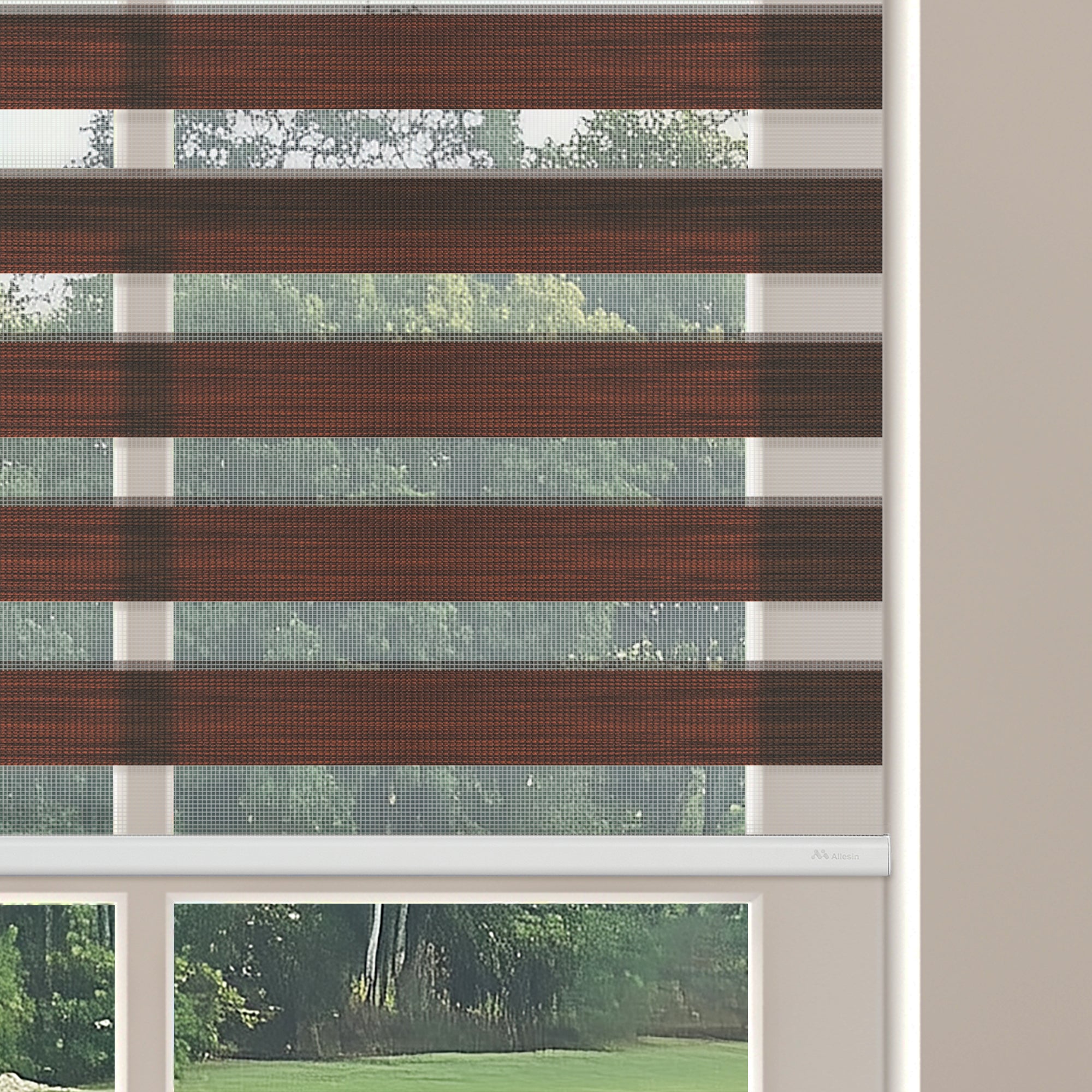 Allesin Motorized Zebra Shades